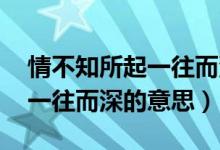 情不知所起一往而深的電視?。ㄇ椴恢?一往而深的意思）