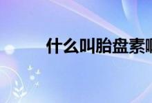 什么叫胎盤素?。ㄊ裁词翘ケP素）