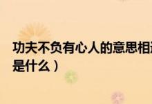 功夫不負(fù)有心人的意思相近的句子（功夫不負(fù)有心人的意思是什么）