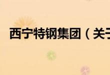 西寧特鋼集團（關(guān)于西寧特鋼集團的介紹）