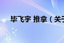 畢飛宇 推拿（關于畢飛宇 推拿的介紹）