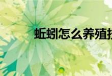 蚯蚓怎么養(yǎng)殖技術(shù)（蚯蚓怎么養(yǎng)）