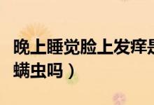 晚上睡覺臉上發(fā)癢是螨蟲嗎（晚上睡覺臉癢是螨蟲嗎）