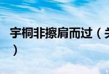 宇桐非擦肩而過（關(guān)于宇桐非擦肩而過的介紹）