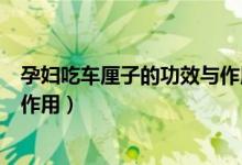 孕婦吃車?yán)遄拥墓πc作用有哪些（孕婦吃車?yán)遄拥墓πc作用）