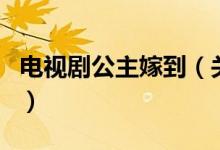 電視劇公主嫁到（關(guān)于電視劇公主嫁到的介紹）