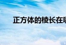 正方體的棱長(zhǎng)在哪里（正方體的棱長(zhǎng)）