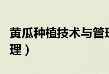 黃瓜種植技術(shù)與管理方法（黃瓜種植技術(shù)和管理）