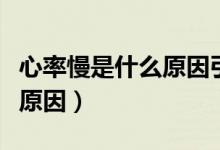 心率慢是什么原因引起的嘔吐(心率慢是什么原因)