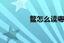 鰲怎么讀粵語（鰲怎么讀）
