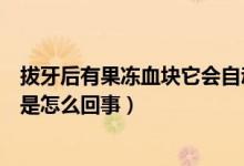 拔牙后有果凍血塊它會自動吸收嗎（拔牙后血塊很大像果凍是怎么回事）
