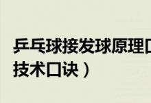 乒乓球接發(fā)球原理口訣（初學(xué)者的乒乓球基本技術(shù)口訣）