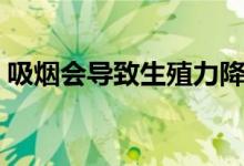 吸煙會導(dǎo)致生殖力降低嗎（吸煙導(dǎo)致陽痿嗎）