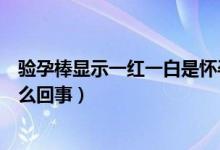 驗(yàn)孕棒顯示一紅一白是懷孕嗎（驗(yàn)孕棒一紅一白懷孕了是怎么回事）