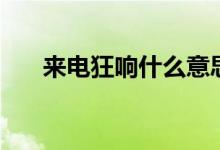 來電狂響什么意思（來電狂響的介紹）