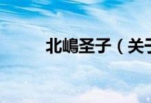 北嶋圣子（關(guān)于北嶋圣子的介紹）