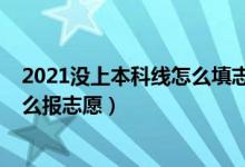 2021沒上本科線怎么填志愿（2022沒到本科線應(yīng)該什么怎么報志愿）