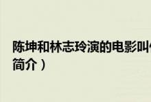 陳坤和林志玲演的電影叫什么名字（陳坤和林志玲演的電影簡介）