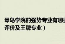 琴島學(xué)院的強(qiáng)勢(shì)專業(yè)有哪些（2022年青島理工大學(xué)琴島學(xué)院評(píng)價(jià)及王牌專業(yè)）