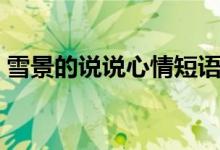雪景的說說心情短語（雪景的說說心情語錄）