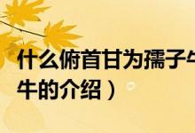 什么俯首甘為孺子牛（關(guān)于什么俯首甘為孺子牛的介紹）
