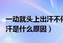 一動就頭上出汗不停是什么原因（頭部容易出汗是什么原因）