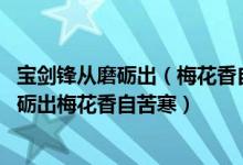 寶劍鋒從磨礪出（梅花香自苦寒來意思 如何分析寶劍鋒從磨礪出梅花香自苦寒）