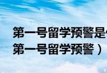 第一號(hào)留學(xué)預(yù)警是什么（教育部發(fā)布2019年第一號(hào)留學(xué)預(yù)警）