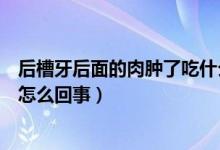 后槽牙后面的肉腫了吃什么消炎藥（后槽牙后面的肉腫了是怎么回事）