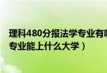 理科480分報法學(xué)專業(yè)有哪些大學(xué)（2022高考550分報法學(xué)專業(yè)能上什么大學(xué)）