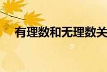 有理數(shù)和無(wú)理數(shù)關(guān)系（有理數(shù)和無(wú)理數(shù)）