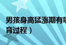 男孩身高猛漲期有哪三個階段（男孩身高的發(fā)育過程）