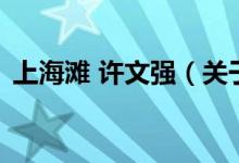 上海灘 許文強(qiáng)(關(guān)于上海灘 許文強(qiáng)的介紹)