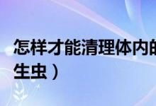 怎樣才能清理體內(nèi)的寄生蟲(chóng)（如何清理體內(nèi)寄生蟲(chóng)）