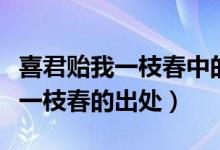 喜君貽我一枝春中的一枝春指的是(喜君貽我一枝春的出處)
