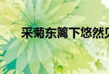 采菊東籬下悠然見(jiàn)南山（采菊東籬下）