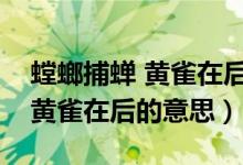 螳螂捕蟬 黃雀在后的意思是什么（螳螂捕蟬黃雀在后的意思）