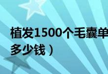 植發(fā)1500個(gè)毛囊單位面積圖（植發(fā)1500單位多少錢）