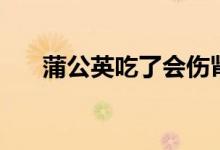 蒲公英吃了會傷腎嗎（蒲公英傷腎嗎）