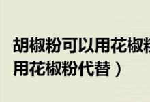 胡椒粉可以用花椒粉代替嗎（胡椒粉可不可以用花椒粉代替）