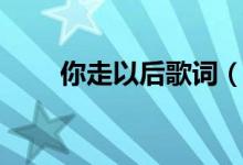 你走以后歌詞（你走以后歌曲簡介）