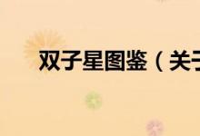 雙子星圖鑒（關(guān)于雙子星圖鑒的介紹）