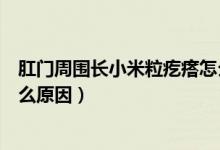 肛門周圍長小米粒疙瘩怎么辦（肛門周圍長小米粒疙瘩是什么原因）