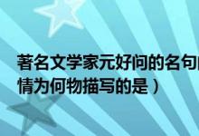 著名文學(xué)家元好問的名句問世間情為何物描寫的是（問世間情為何物描寫的是）
