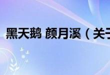 黑天鵝 顏月溪（關(guān)于黑天鵝 顏月溪的介紹）