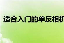 適合入門的單反相機(jī)（6款入門級單反推薦）