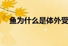 魚為什么是體外受精(什么是體外受精)