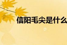 信陽毛尖是什么茶（信陽毛尖介紹）