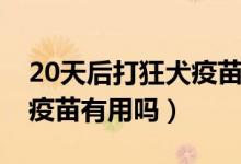 20天后打狂犬疫苗可以嗎（20天后補打狂犬疫苗有用嗎）