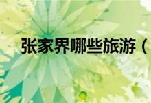 張家界哪些旅游（張家界旅游景點介紹）